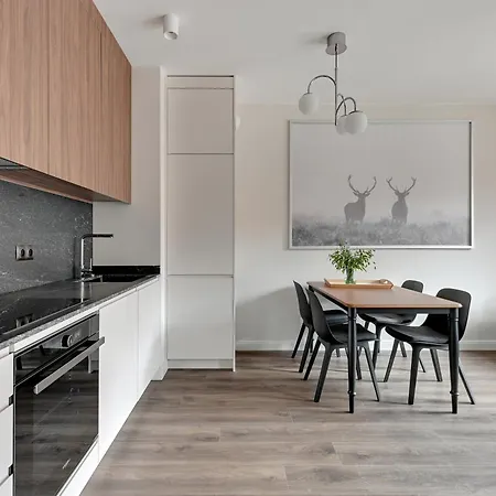 Scala City Center Premium Apartments With Parking By Lion Apartments Danzica Esterno foto